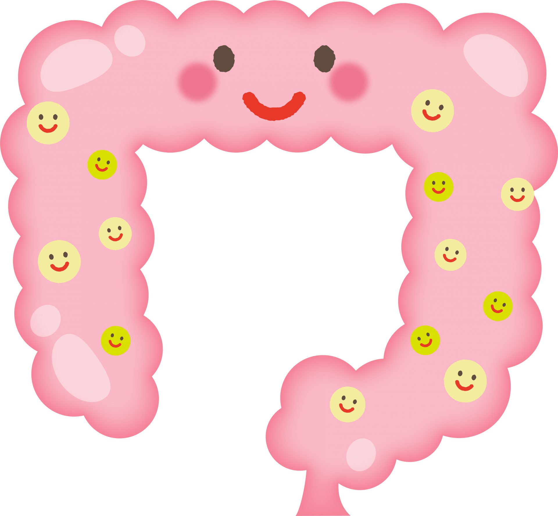 ミドリイシの白化について Waao トレンド